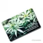 Preview: Cannabis Club Mitgliedskarte Rückseite