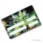 Preview: Cannabis Membership Cards frontside