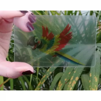 Plastic Card transparent printed colorful