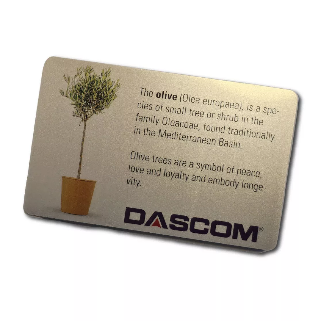 Dascom mit metallic Druck