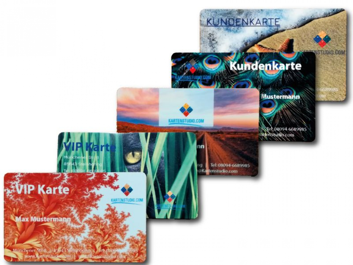 Card Printer Authentys PRO RT1 at a Top Price