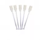 10 Authentys Cleaning Swabs